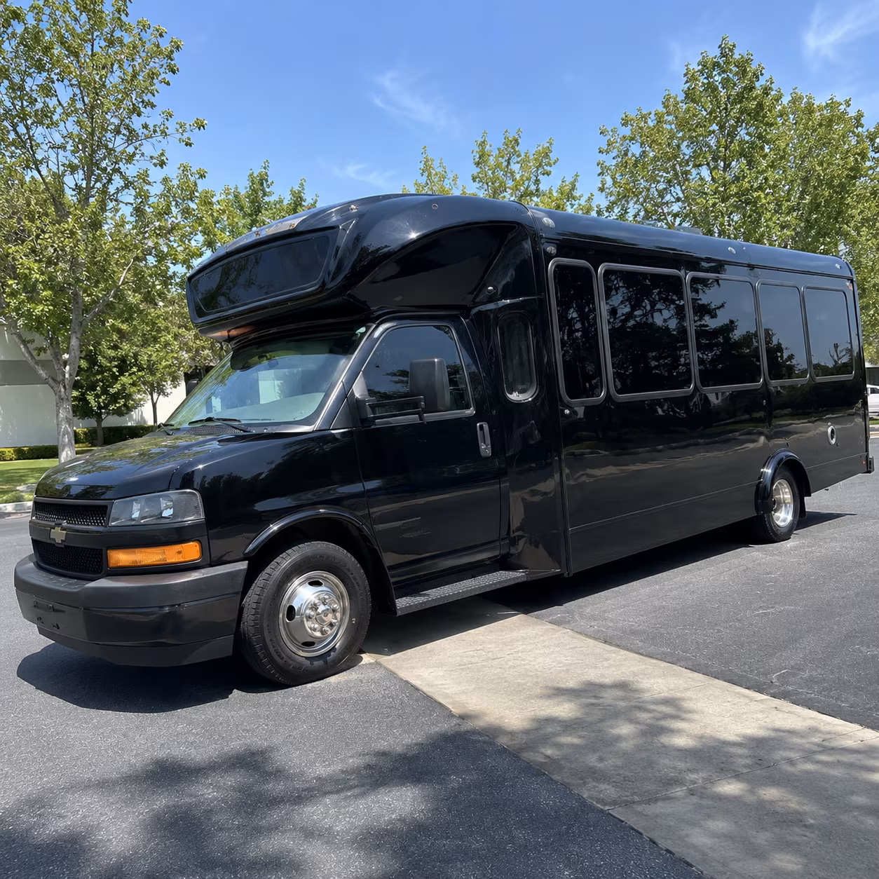 mountain view 15 passenger party bus