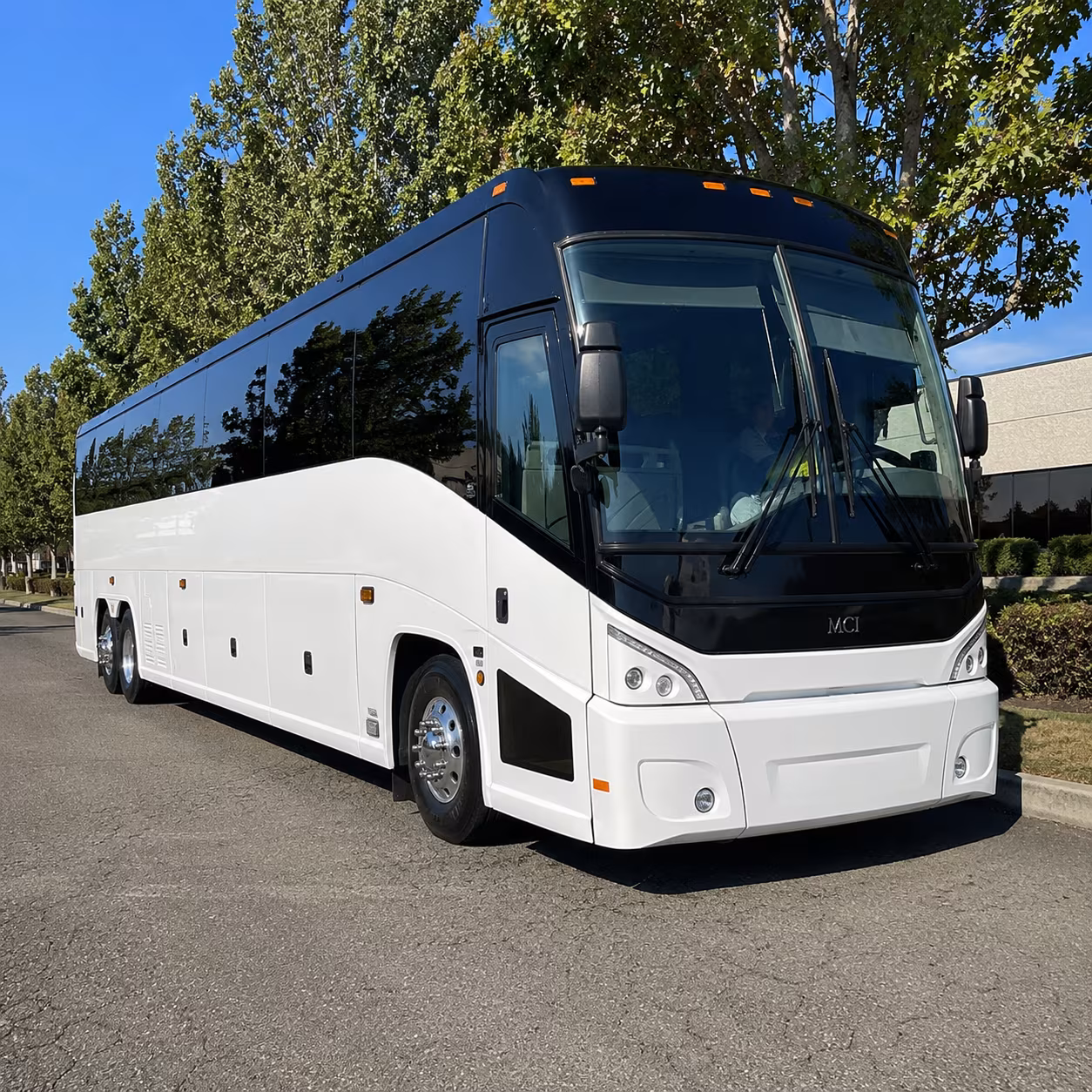 mountain view 50 passenger charter bus