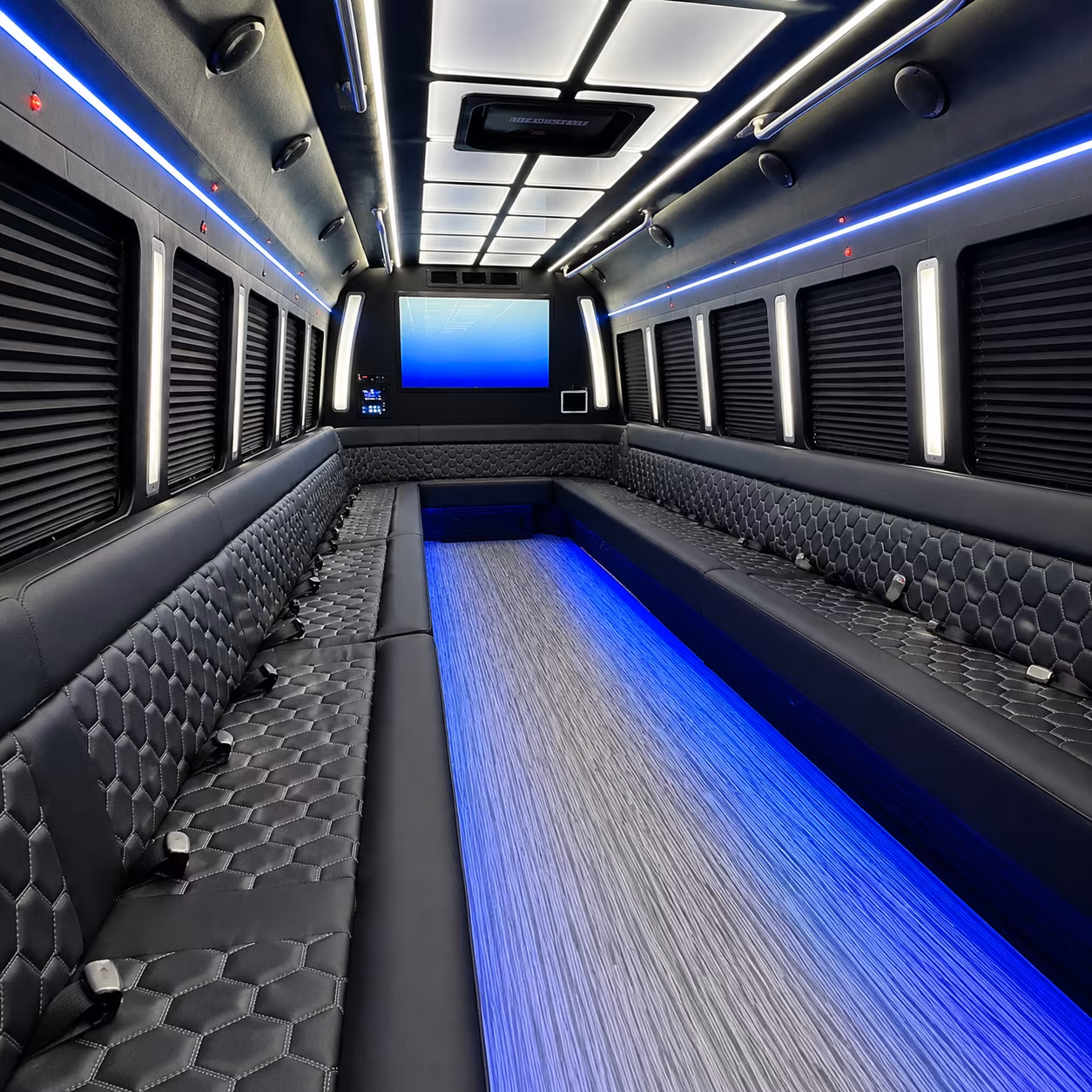 mountain view 50 passenger party bus inside