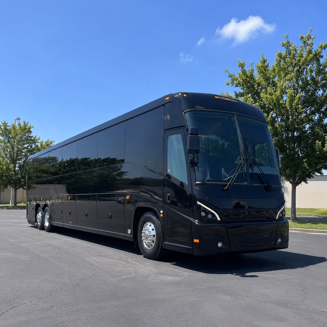 mountain view 56 passenger charter bus