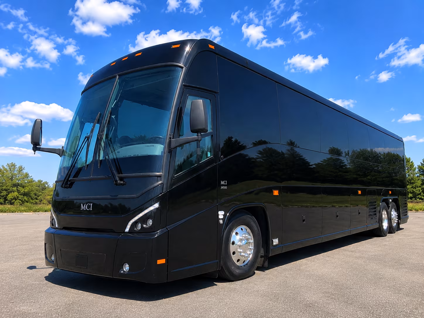 mountain view family reunion charter bus rental
