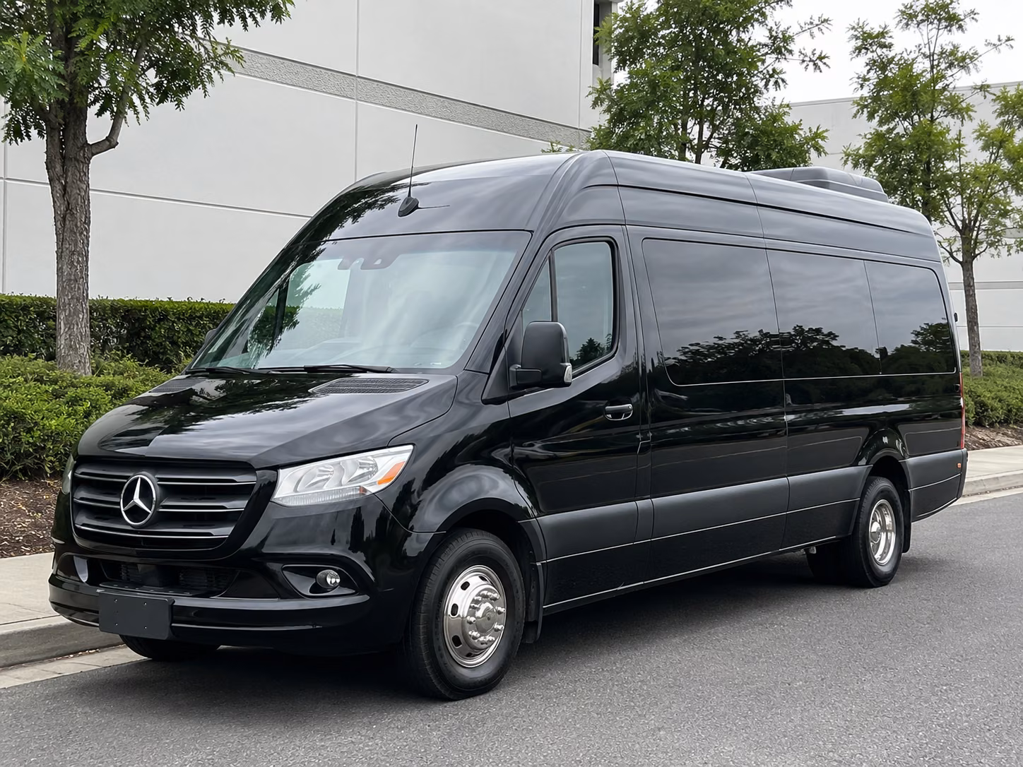 sprinter van rentals for mountain view prom couples and small groups
